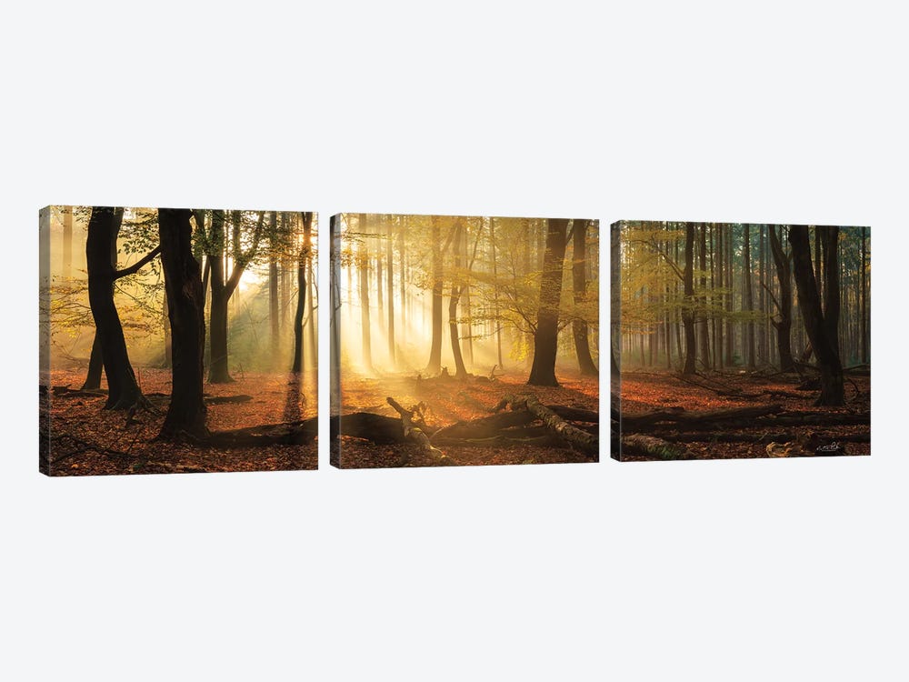 Speulderbos Panorama by Martin Podt 3-piece Art Print