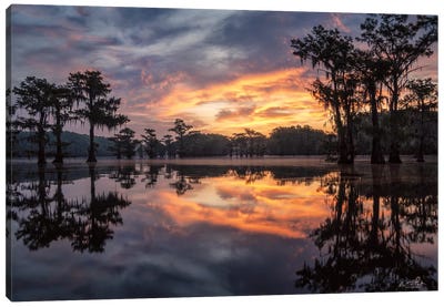Sunrise in the Swamps Canvas Art Print - Martin Podt