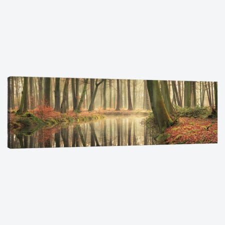 The Healing Power Of Forests Canvas Print #MPO176} by Martin Podt Canvas Wall Art