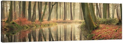 The Healing Power Of Forests Canvas Art Print - Martin Podt