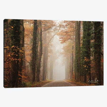 Foggy Autumn Road Canvas Print #MPO182} by Martin Podt Canvas Artwork