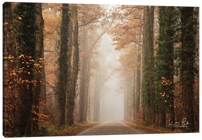 Foggy Autumn Road Canvas Art Print - Martin Podt