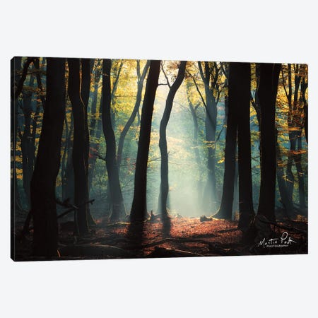 Forest Blues Canvas Print #MPO183} by Martin Podt Canvas Artwork