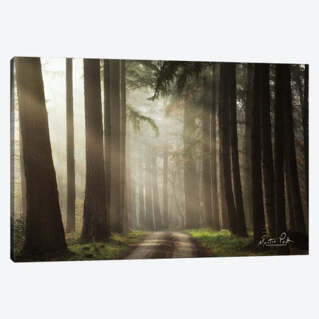 Natural Beauty Canvas Print #MPO185} by Martin Podt Canvas Print