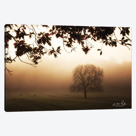 Under The Leaves Canvas Print #MPO187} by Martin Podt Art Print