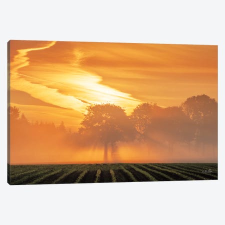 Morning Glory Canvas Print #MPO199} by Martin Podt Canvas Print