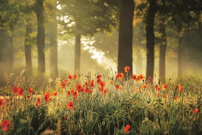 The Poppy Forest by Martin Podt framed canvas print