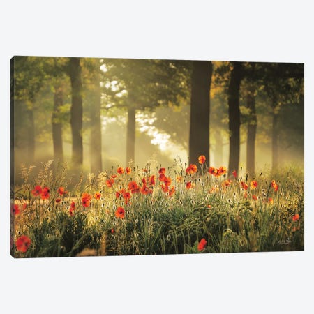 The Poppy Forest Canvas Print #MPO208} by Martin Podt Art Print