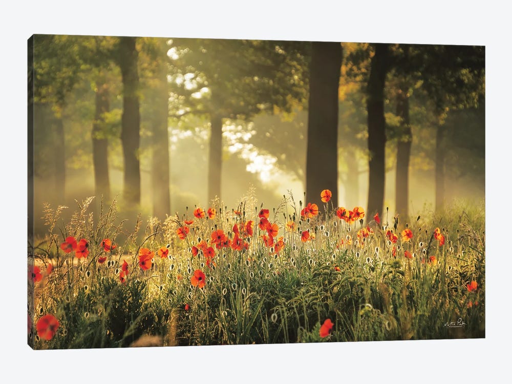 The Poppy Forest by Martin Podt 1-piece Canvas Artwork