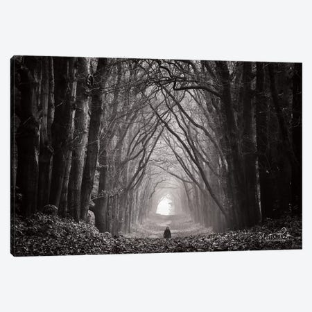 In the Land of Gods and Monsters Canvas Print #MPO20} by Martin Podt Canvas Wall Art