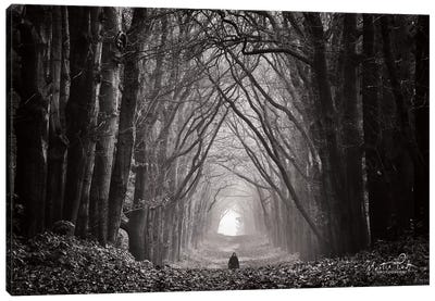 In the Land of Gods and Monsters Canvas Art Print - Martin Podt