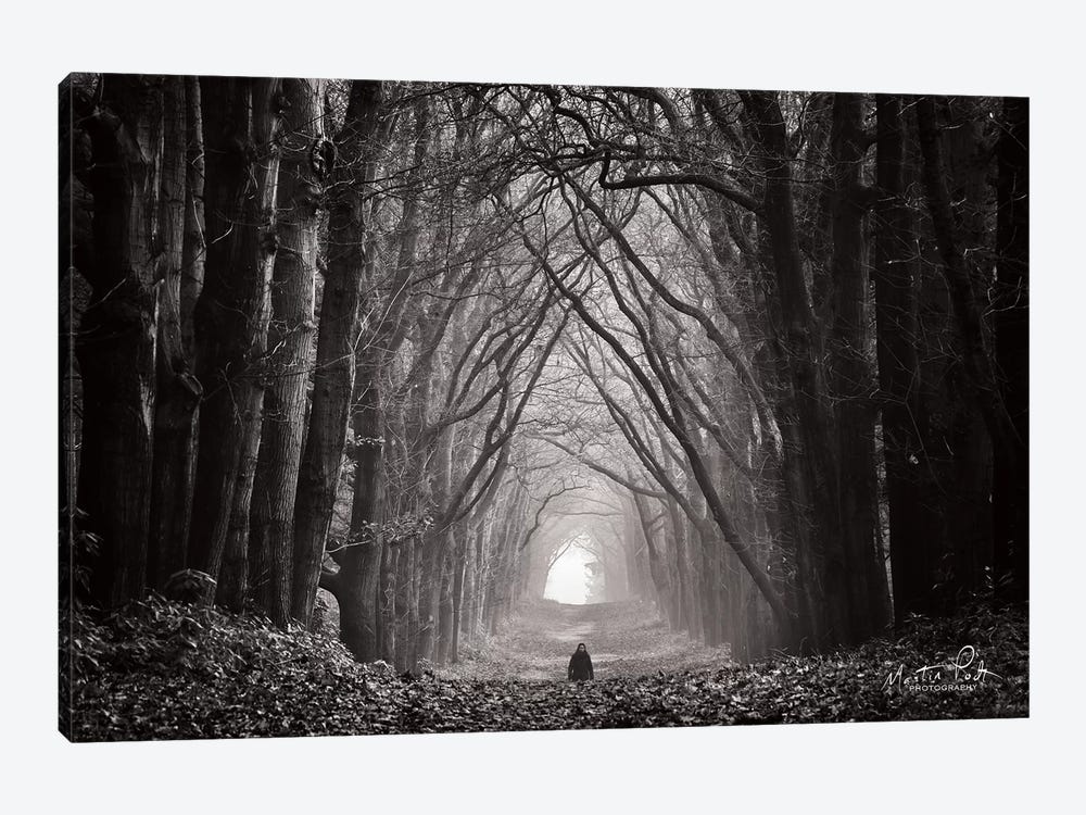 In the Land of Gods and Monsters by Martin Podt 1-piece Canvas Art Print