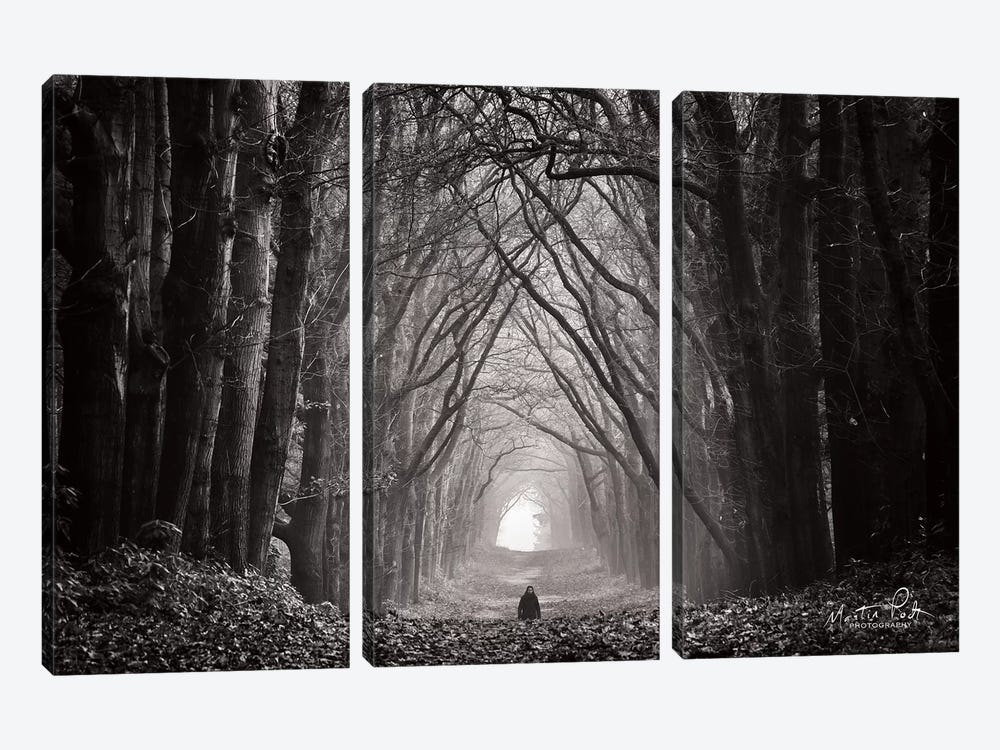 In the Land of Gods and Monsters by Martin Podt 3-piece Canvas Print