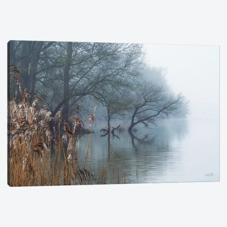 In The Swamps Canvas Print #MPO216} by Martin Podt Canvas Art Print