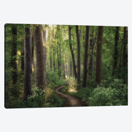 Spring Chaos Canvas Print #MPO222} by Martin Podt Canvas Print