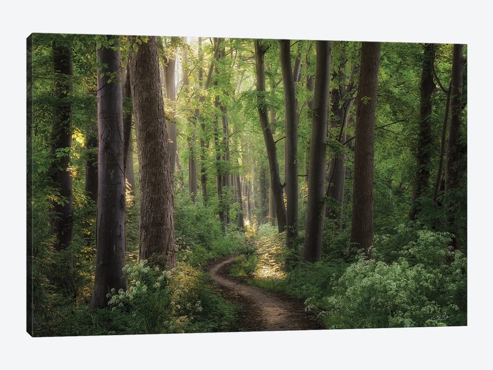 Spring Chaos by Martin Podt 1-piece Canvas Wall Art