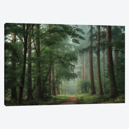 Moody Green Canvas Print #MPO228} by Martin Podt Canvas Print