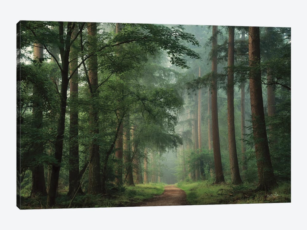 Moody Green by Martin Podt 1-piece Canvas Wall Art