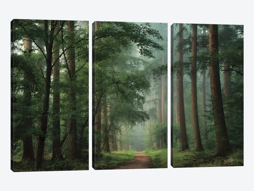 Moody Green by Martin Podt 3-piece Canvas Artwork