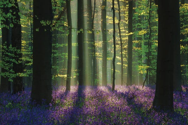 Perfect Spring Scene