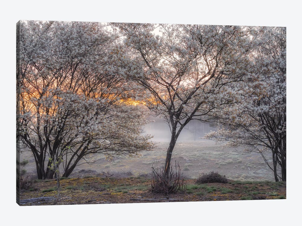 Spring Bushes by Martin Podt 1-piece Canvas Art Print