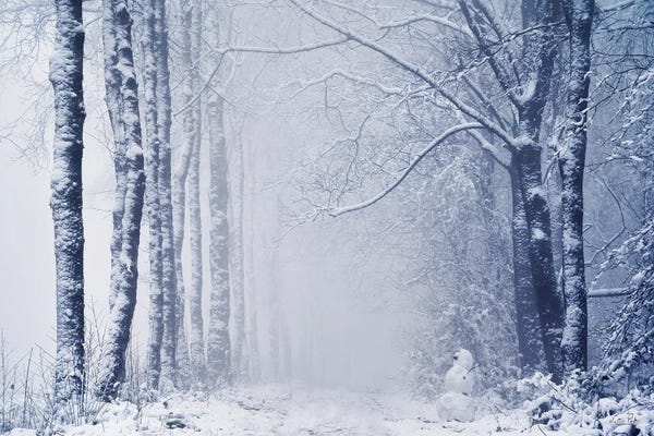 Martin Podt: Alone In The World by Martin Podt
