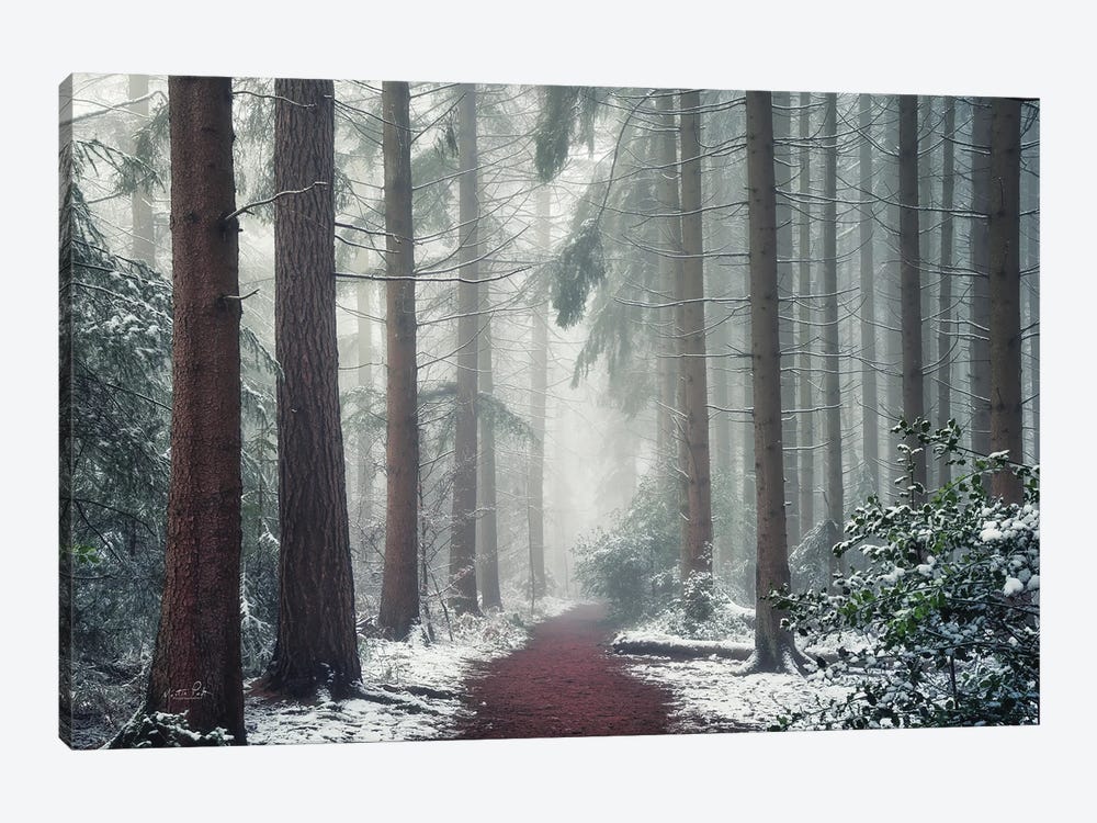 Red Carpet by Martin Podt 1-piece Canvas Wall Art