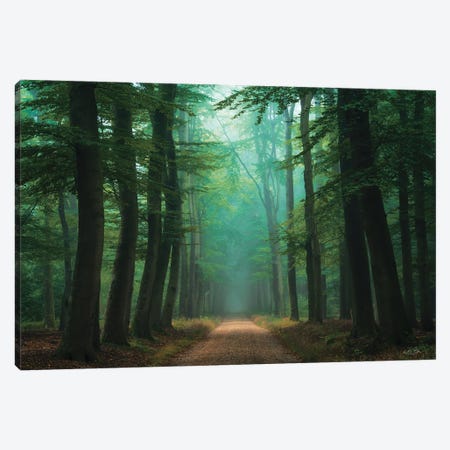 Road of Mysteries Canvas Print #MPO242} by Martin Podt Canvas Art Print