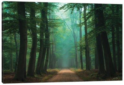 Road of Mysteries Canvas Art Print - Martin Podt
