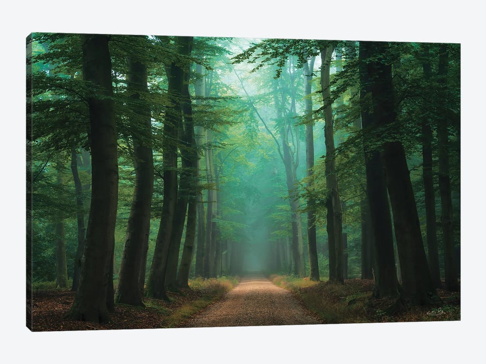 Road of Mysteries by Martin Podt 1-piece Canvas Wall Art