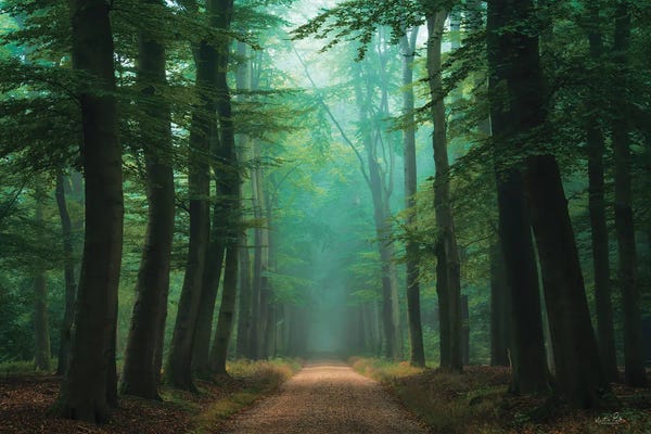 Martin Podt: Road of Mysteries by Martin Podt