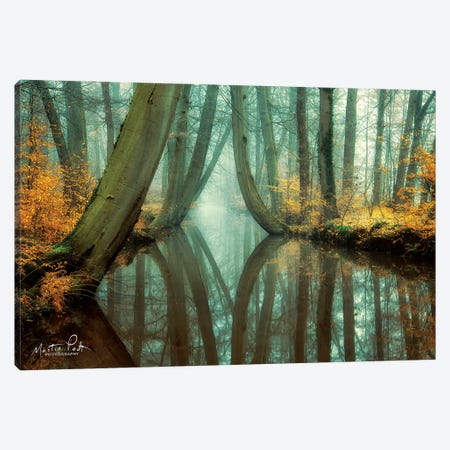 Lust for Life Canvas Print #MPO28} by Martin Podt Canvas Artwork
