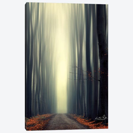 Reaching Out Canvas Print #MPO33} by Martin Podt Art Print