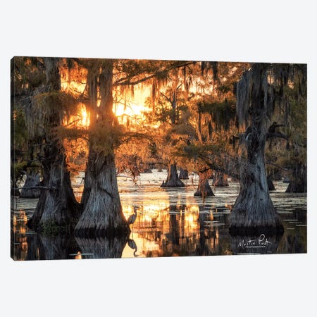 Sunset in the Swamps Canvas Print #MPO37} by Martin Podt Canvas Wall Art