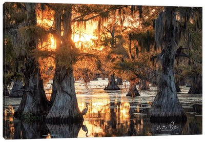 Sunset in the Swamps Canvas Art Print - Martin Podt