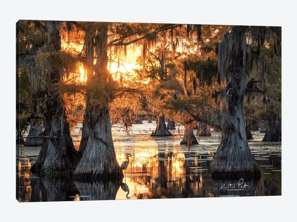 Sunset in the Swamps by Martin Podt 1-piece Canvas Print