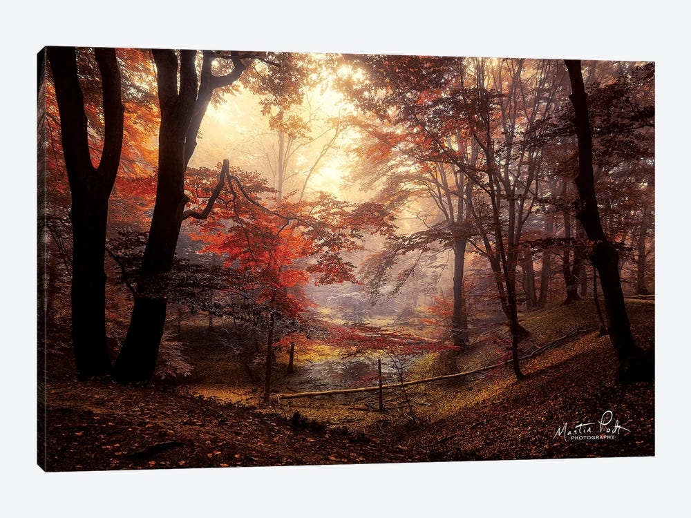 The Pool by Martin Podt 1-piece Canvas Wall Art