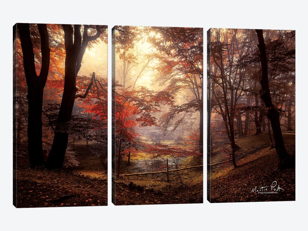 The Pool by Martin Podt 3-piece Canvas Art