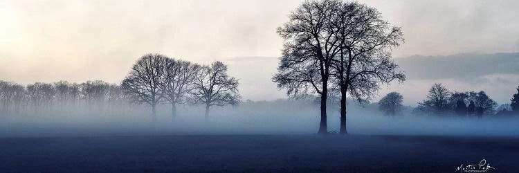 Together by Martin Podt wall art