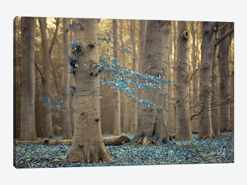 Winter Blues by Martin Podt 1-piece Canvas Wall Art
