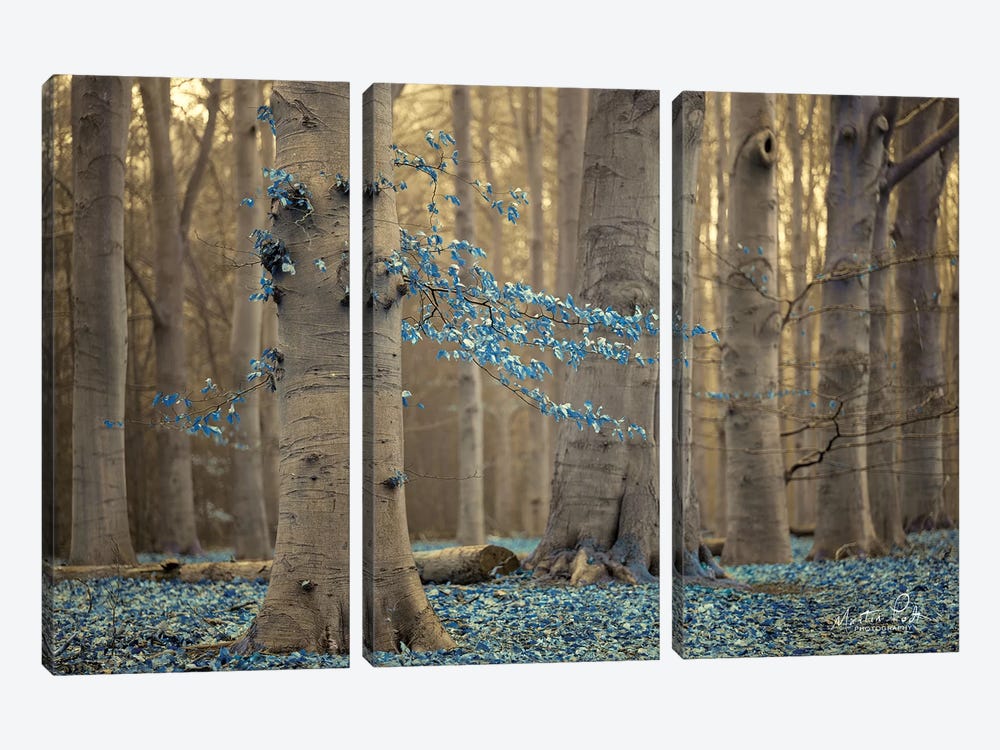 Winter Blues by Martin Podt 3-piece Canvas Wall Art