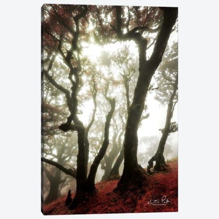 Red Dreams Canvas Print #MPO62} by Martin Podt Canvas Wall Art