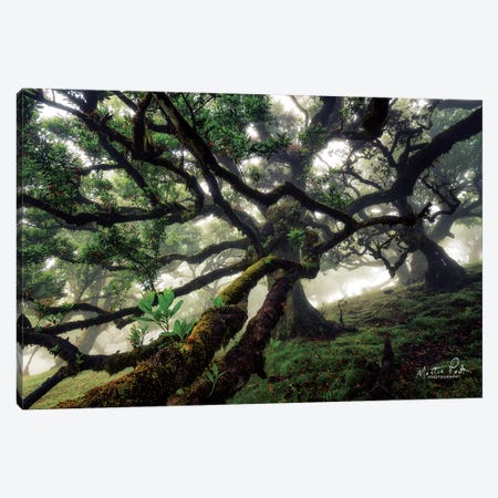 Tentacles Canvas Print #MPO64} by Martin Podt Canvas Art Print