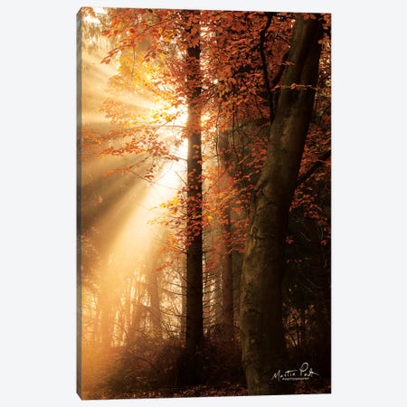 The Best of Autumn Canvas Print #MPO66} by Martin Podt Canvas Print