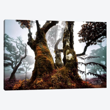 The Dark King Canvas Print #MPO68} by Martin Podt Canvas Wall Art