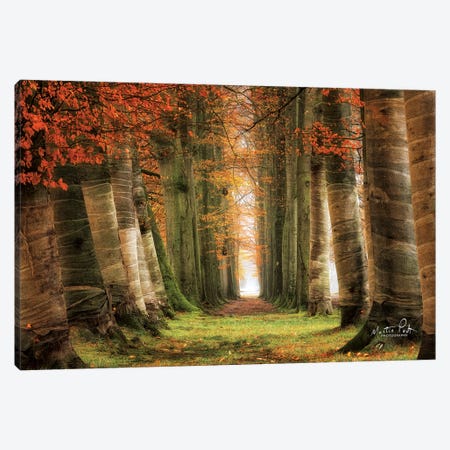 Wrapped Canvas Print #MPO71} by Martin Podt Canvas Print