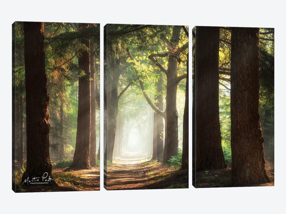 Fresh Green Forest by Martin Podt 3-piece Canvas Wall Art