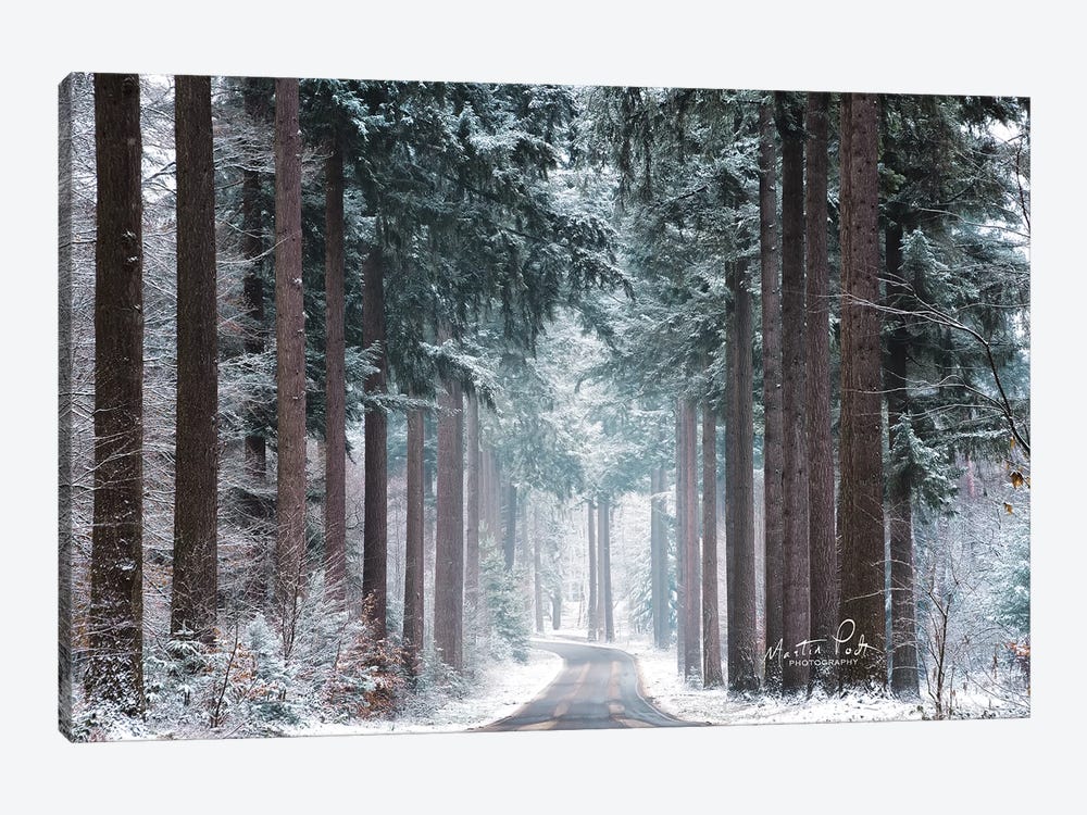 Pines in Winter Dress by Martin Podt 1-piece Canvas Artwork