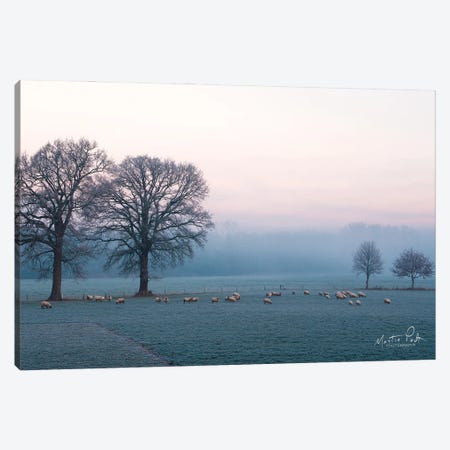 Sheep on a Cold Morning Canvas Print #MPO79} by Martin Podt Canvas Print