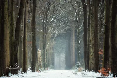 Winer Alley by Martin Podt framed canvas print